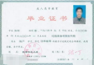 自考本科用人單位認可么