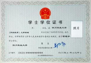 自考本科學(xué)位可以考研嗎