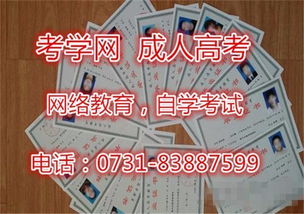 自考本科培訓機構坑人