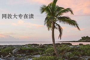 在讀專(zhuān)科生可以報自考本科段嗎