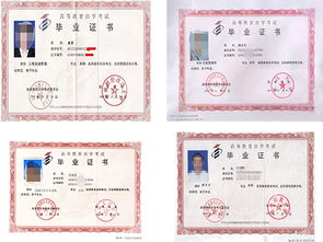 自考本科和大專(zhuān)升本科哪個(gè)要好點(diǎn)