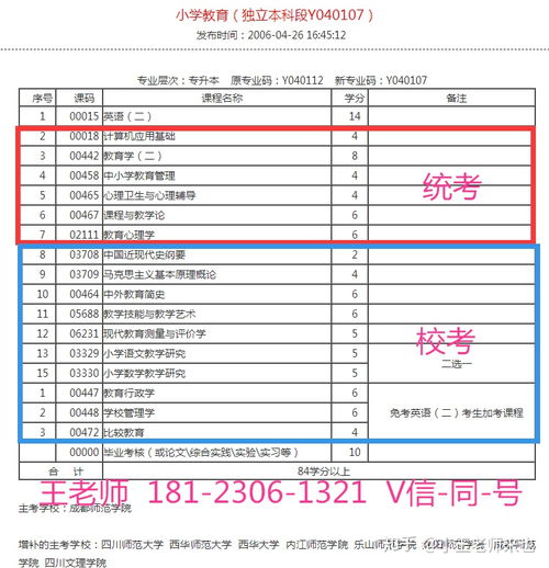 自考本科可以當老師么