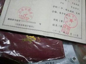 護理專(zhuān)業(yè)報自考本科