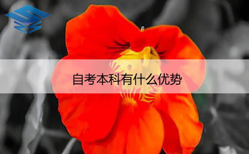 自考本科落戶(hù)優(yōu)勢