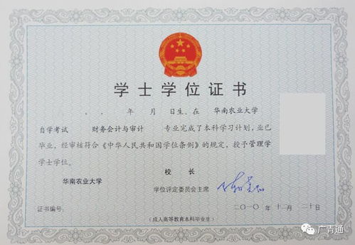 2019自考會(huì )計本科真題