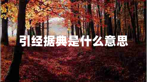 引經(jīng)據典是什么意思
