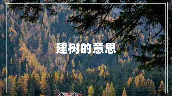 建樹(shù)的意思