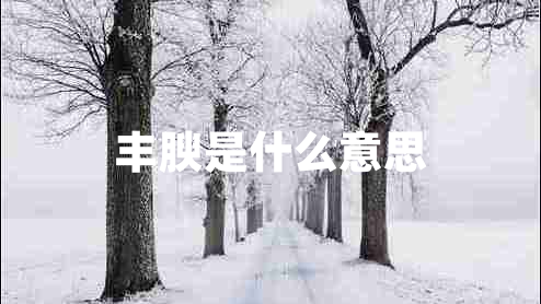 豐腴是什么意思