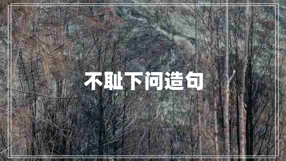 不恥下問(wèn)造句
