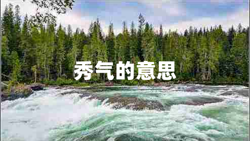 秀氣的意思