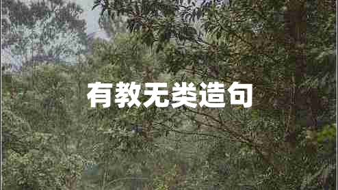 有教無類造句