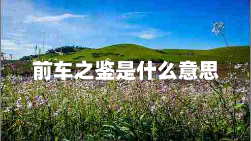 前車(chē)之鑒是什么意思