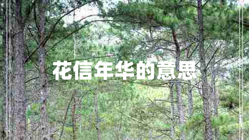 花信年華的意思