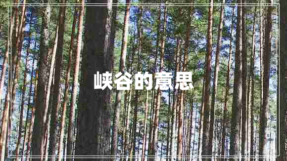 峽谷的意思