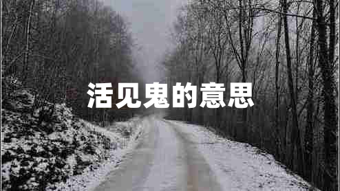 活見(jiàn)鬼的意思