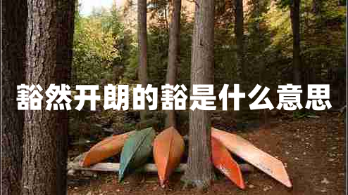 豁然開(kāi)朗的豁是什么意思