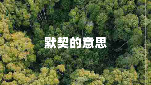 默契的意思