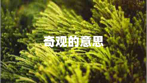 奇觀(guān)的意思