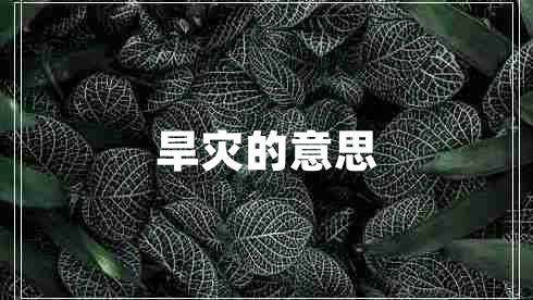 旱災的意思