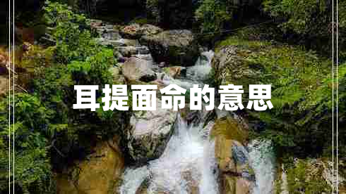耳提面命的意思