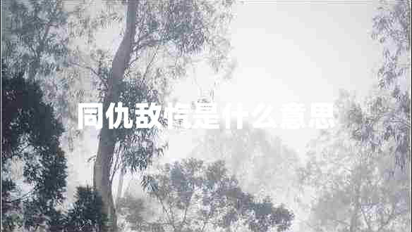 同仇敵愾是什么意思