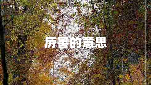 厲害的意思