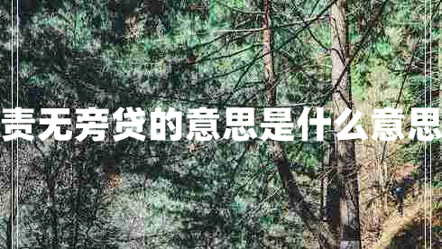責無(wú)旁貸的意思是什么意思