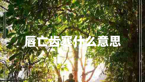 唇亡齒寒什么意思