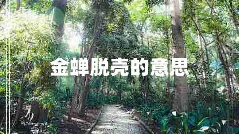 金蟬脫殼的意思
