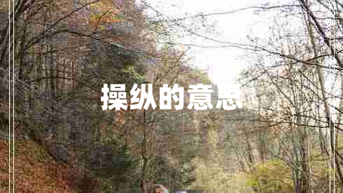 操縱的意思