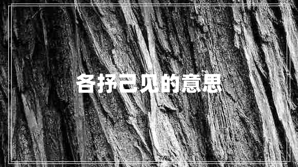 各抒己見(jiàn)的意思