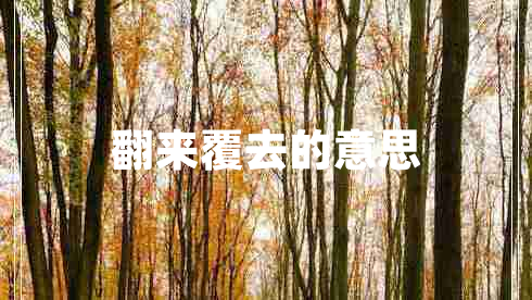 翻來(lái)覆去的意思