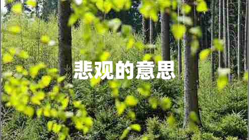 悲觀(guān)的意思