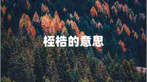 桎梏的意思