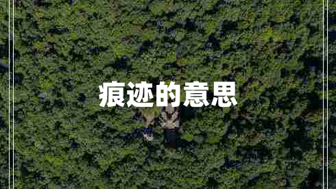 痕跡的意思