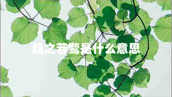 趨之若鶩是什么意思