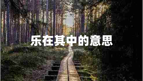 樂(lè )在其中的意思