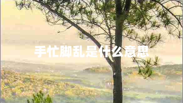 手忙腳亂是什么意思