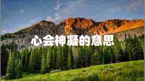 心會(huì )神凝的意思