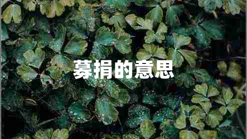 募捐的意思