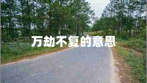 萬(wàn)劫不復的意思