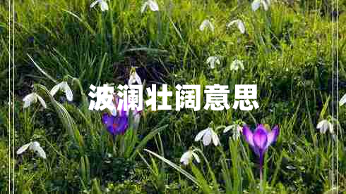 波瀾壯闊意思