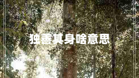 獨善其身啥意思