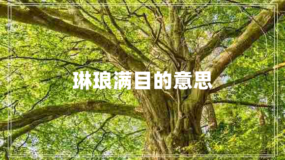 琳瑯滿(mǎn)目的意思