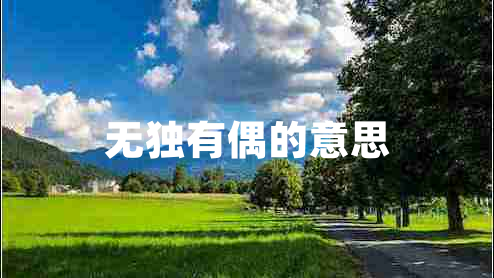無(wú)獨有偶的意思