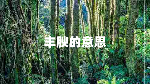 豐腴的意思
