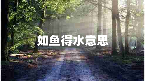 如魚(yú)得水意思