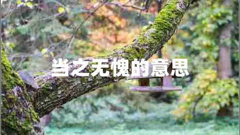 當之無(wú)愧的意思