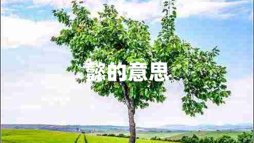 懿的意思