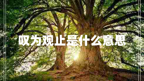 嘆為觀(guān)止是什么意思